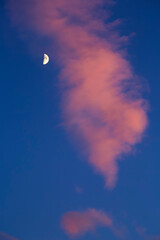 Beautiful crescent moon between pink clouds