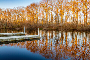 reflection of trees in the lake