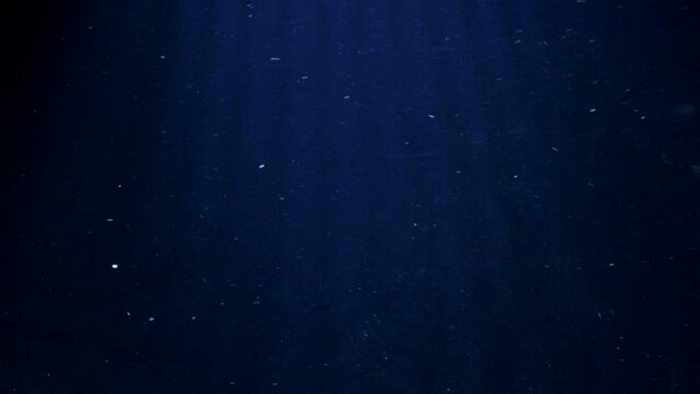 Fondo del mar con reflejos de peque&ntilde;as part&iacute;culas.