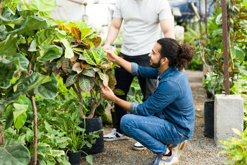 Latin young man talking with his boyfriend while buying plants