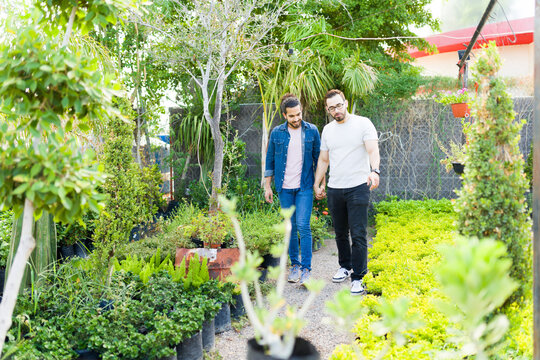Romantic gay couple walking in a beautiful nursery garden