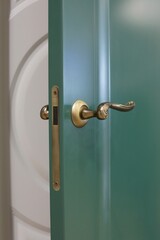 Obraz premium a very beautiful and expensive door in the house, with a beautiful handle and a veneer and moss texture, it's nice to open and close the door modern design 