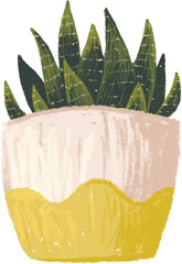 Potted plants bundle, house plants.