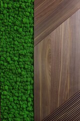 a very beautiful and expensive door in the house, with a beautiful handle and a veneer and moss texture, it's nice to open and close the door modern design 