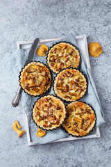 chanterelle tarts or quiches on grey concrete  background - obrazy, fototapety, plakaty