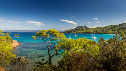 L'ile de Porquerolles et la plage de Notre Dame - The island of Porquerolles and the beach of Notre Dame	 - obrazy, fototapety, plakaty