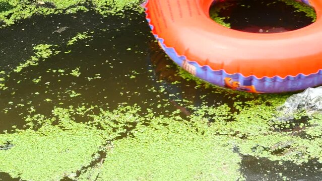 Contaminaci&oacute;n de pl&aacute;sticos en un rio.
