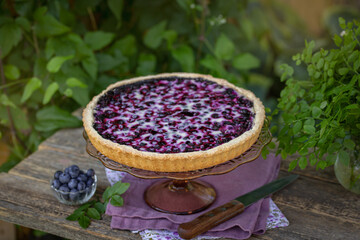 Finnish blueberry pie