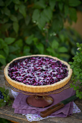 Finnish blueberry pie