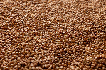 Buckwheat groats close up. Organic dried buckwheat