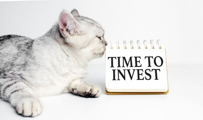 TIME TO INVEST text written on notebook on grey background with grey happy cat