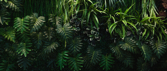 Full frame of nature green background, tropical leaf banner or floral jungle pattern concept.	