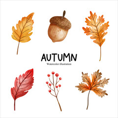 Watercolor autumn leaf, autumn season vector illustration © ChonnieArtwork 