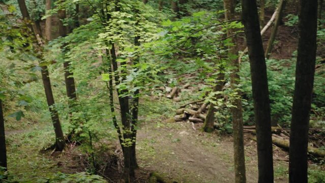 camera follows A man at high speed in a helmet on MTB in the forest accelerates and jumps from a huge high mountain in the forest. Forest track for extreme bikes. Professional backer on a bicycle