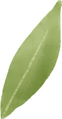 Green leaf watercolor for decoration