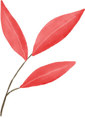 Red leaf watercolor for decoration