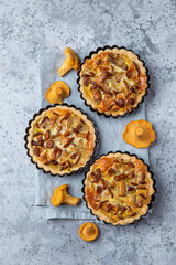 savory tarts with chanterelle mushrooms on grey concrete  background