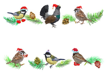 Digital Christmas border with Christmas wild bird, Christmas branches and cones. With transparent layer