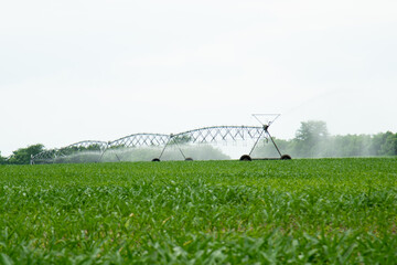 Watering the field with an irrigation system. Agriculture. Summer.