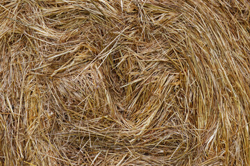 Haystack texture