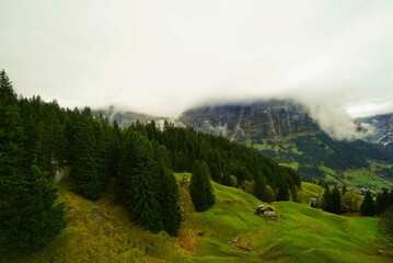 Scenery of trees and mountains during the ascent of Grindelwald Mountain, Switzerland    