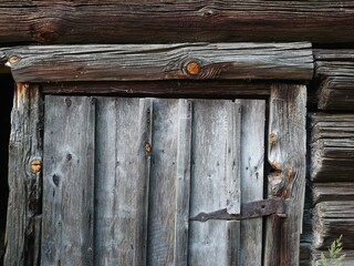 Old grey wooden door texture. Wooden Fence background. Dry old board.