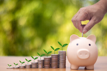 Hand drop cute piggy bank, pink with coins placed money saving ideas investment