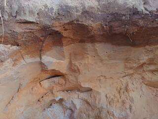 Texture of sandstone. Slice or cuts of sandy soil. Sections of sand in the ground.
