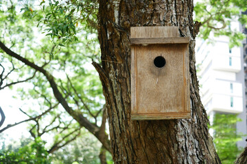  a bee hotel, Insect hotel on the tree 