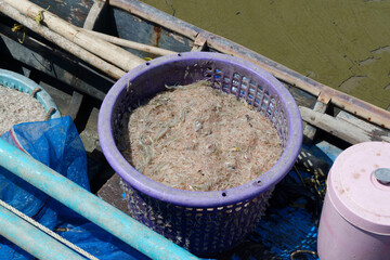 Fishing boat and fresh shrimp in plastic basket for making shrimp paste.