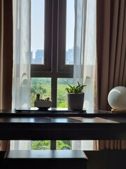 Piano with Cactus on top next to window with garden and city view