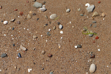 Stones on wet sand beach