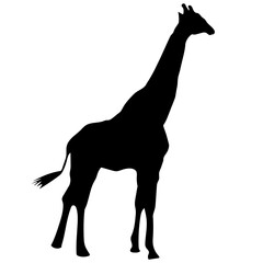 giraffe silhouette vector