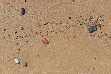 Fototapeta na wymiar Stones on wet sand beach