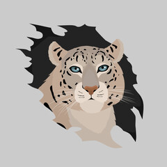 leopard  head vector illustration