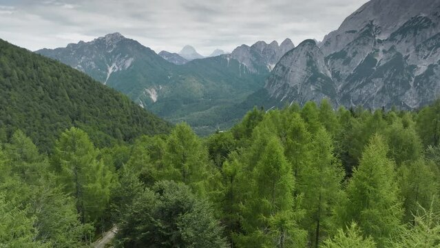 Aerial view of Italian Alps near Dogna, Udine. Flying over green trees and rocky mountains in Dolomites, Italy