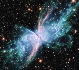 NGC 6302: The 