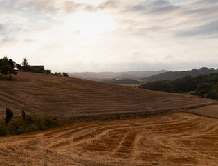 View of the field along the Chemin du Puy, French route of the way of St James