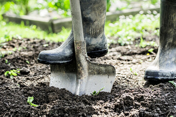 Man gardener digging whole to the land in the garden. Soil preparing for planting in spring. Gardening. Summer concept