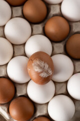 Egg background. White and brown eggs in a paper box tray. Protein food. Eco organic. Minimalism concept.