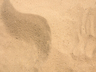 The texture of sand on the beach with a shadow in the shape of a wave, a place for text