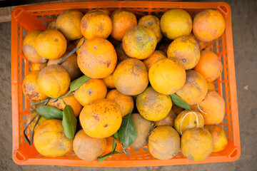 Fresh oranges in a market