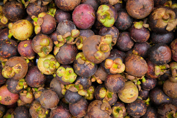 mangosteen fruit sold in the market