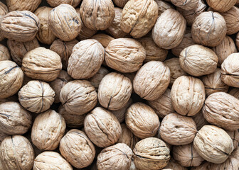 background of walnuts