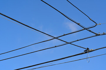 Electric cables on blue sky