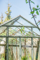 Fototapeta na wymiar Little greenhouse in rural area. Small village glasshouse for food.