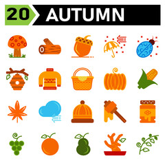 Autumn icon set include mushroom fall plant lumber piece of wood trunk chestnut nut peanut umbrella air bugs bug insect beehive bee honey sweater warm basket holiday thanksgiving pumpkin vegetable