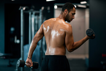 Fototapeta na wymiar Shirtless Muscular African American Man Training With Dumbbells At Modern Gym Interior
