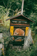 Nature  insect species protection in Germany