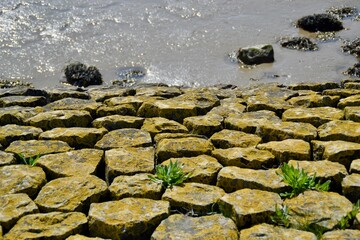 moss-covered rocks by the water